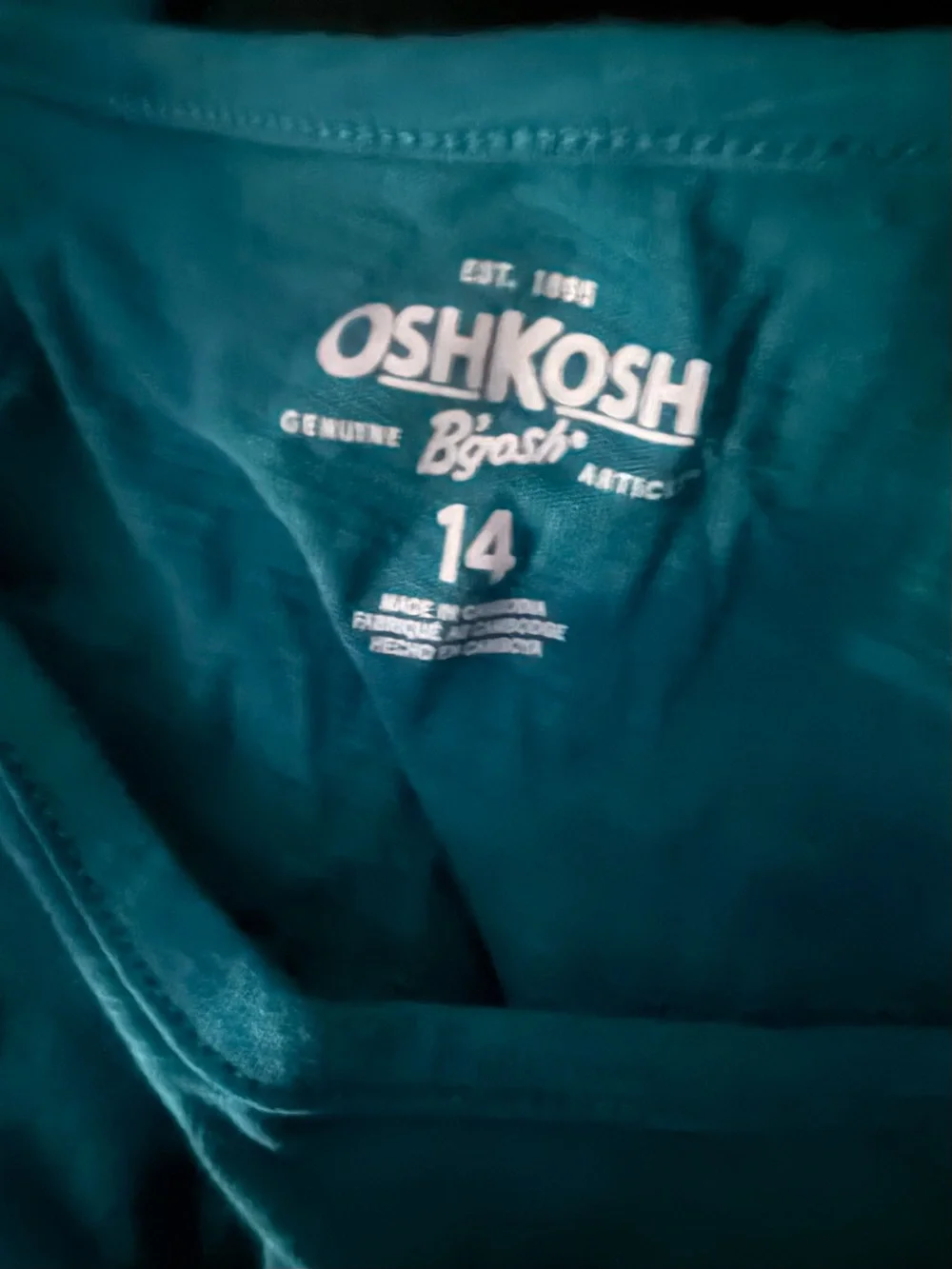 NWTOshKosh B’gosh Girls Pegasus Graphic Long Sleeve Tee Size 14 Teal